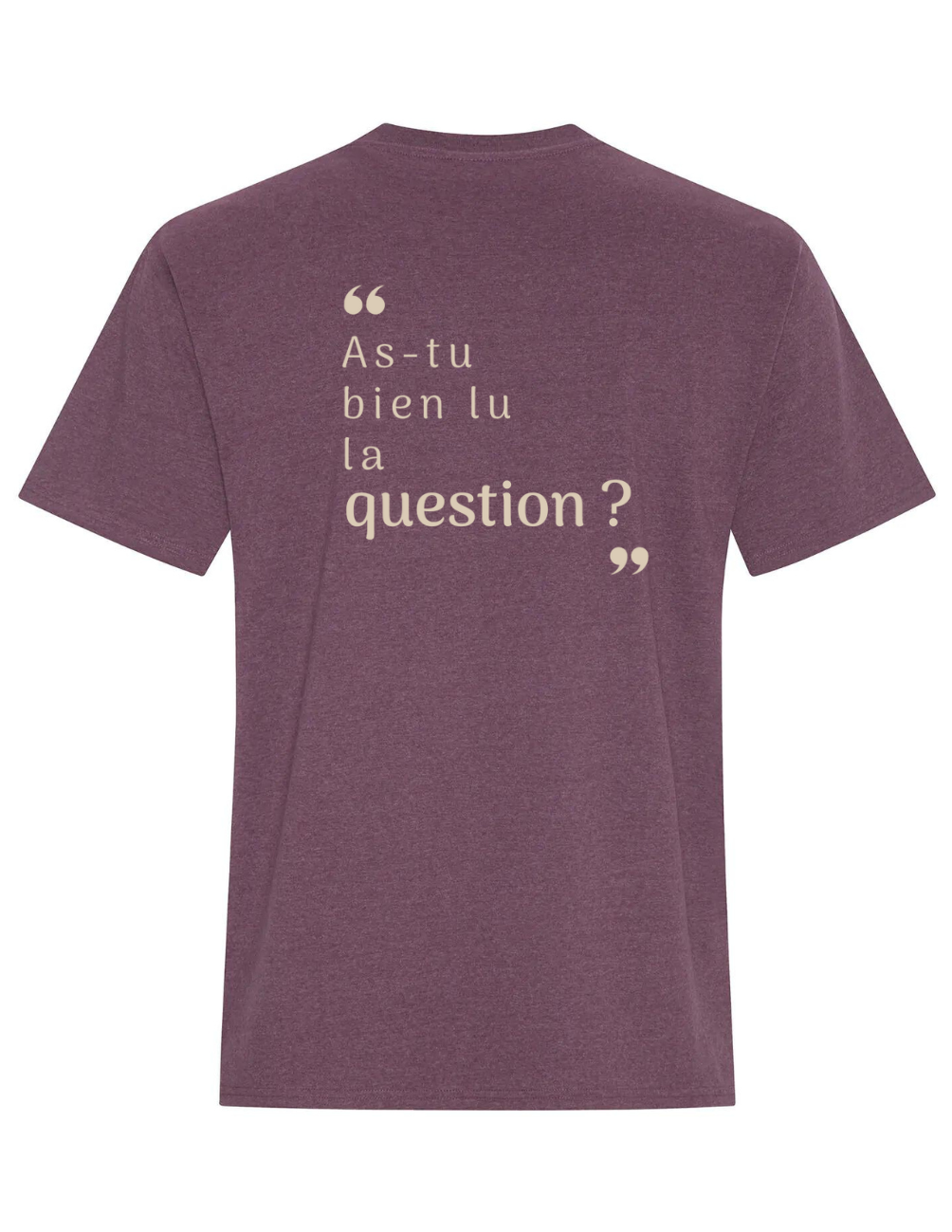 ZS3- T-shirt en coton- As-tu bien lu la question ?