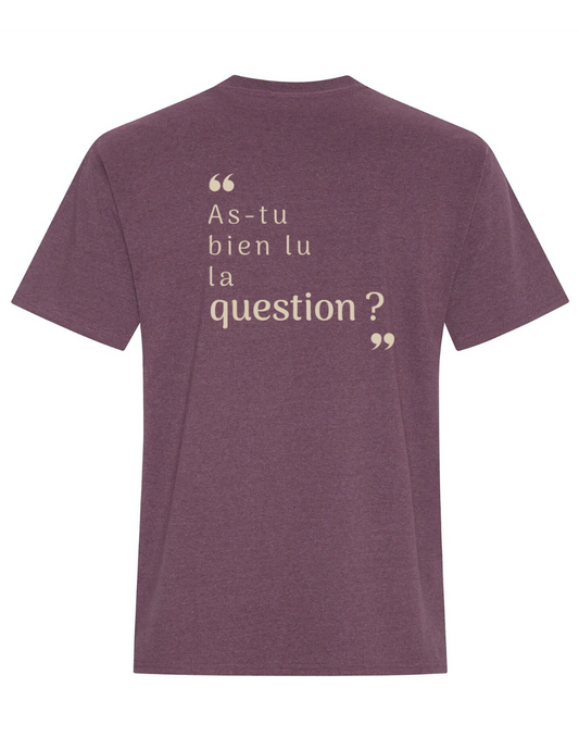 ZS3- T-shirt en coton- As-tu bien lu la question ?