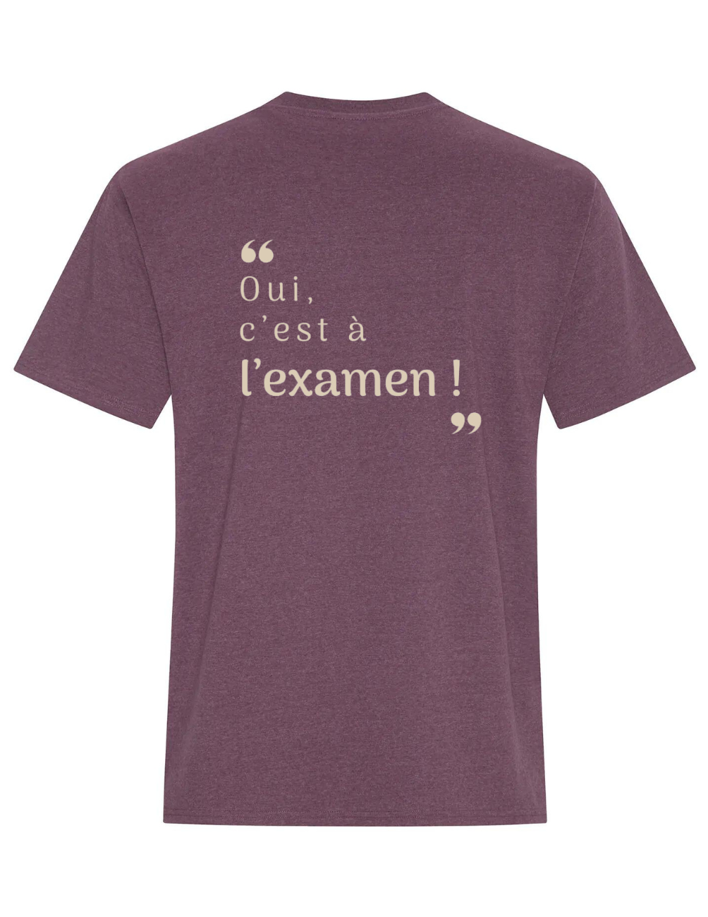 ZS4- T-shirt en coton- Oui, c'est à l'examen !