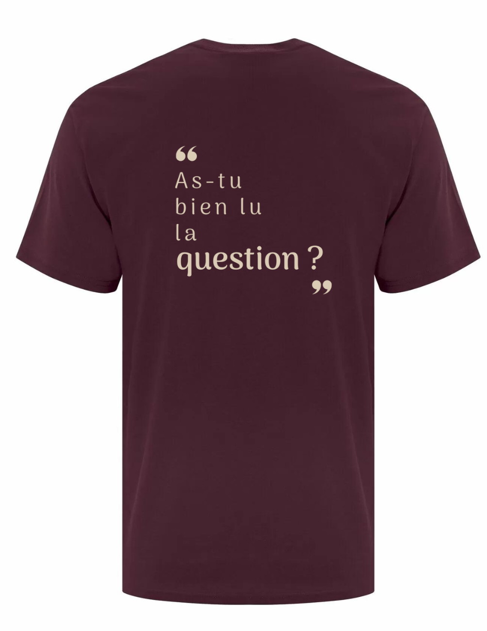 ZS3- T-shirt en coton- As-tu bien lu la question ?